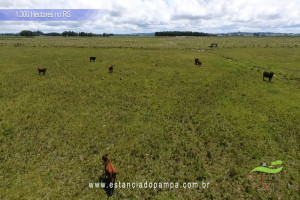 Criado em galpão-Os Serranos [VDownloader].00_02_44_01.Quadro044_f65592b281c450e16d5c34bef01972d9ac3206c1.jpg